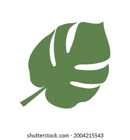 monstera leaf icon vector design template