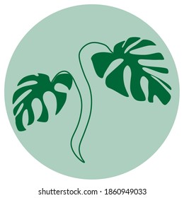 Monstera-Blatt-Symbol, Vektorgrafik 