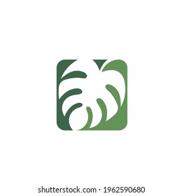 monstera leaf icon vector illustration design template web