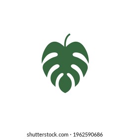 monstera leaf icon vector illustration design template web