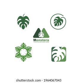 web de plantilla de diseño de ilustraciones vectoriales de icono de hoja de monstera