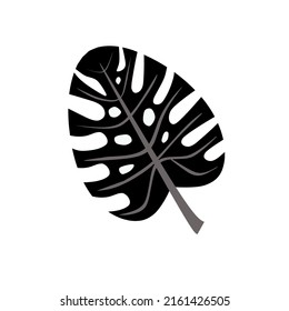 monstera leaf icon vector on white background