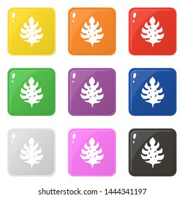 Monstera leaf icons set 9 colors isolated on white. Collection of glossy square colorful buttons. Vector illustration for any design.