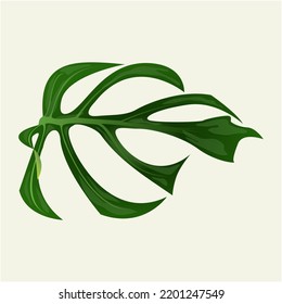 Monstera-Blatt-Illustration für jeden Zweck