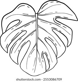 Monstera Leaf Illustration Beautiful Tropical Plant Art Featuring Artistic Elements And Design