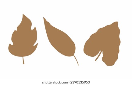 monstera leaf illustration. Monstera leaves tropical. flat illustration of tropical leaf of Monstera.