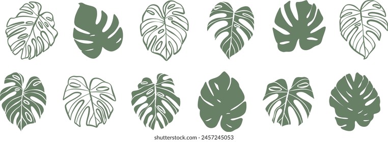 Monstera leaf illustration set, isolated hand drawn tropical leaves, silhouette and line art