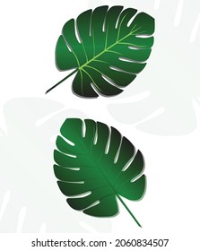Monstera-Illustration, speziell für Ihre geschäftlichen Anforderungen an Immobilien und andere