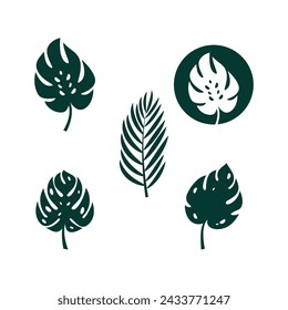 Monstera leaf illustration vector design
