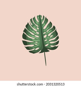 Monstera Leaf Isolated Design. Illustration