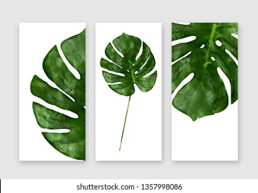 Folha de Monstera isolada no fundo branco, conjunto de banners de aquarela desenhados à mão de verão, frente, vista superior. Aquarela de folha de palmeira tropical texturizada de perto, ilustração vetorial.