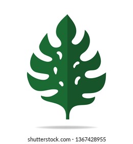 Monstera leaf isolated on white. Tropical jungle green leaves. Flat style. Vector illustration for your design, web.