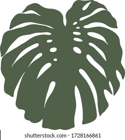 Monstera leaf isolated on a white background. Vector graphics. Silhouette.
