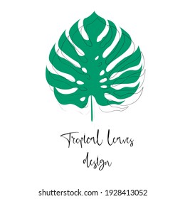 Monstera leaf isolated on white background, summertime hand drawn banners set, front, top view. Tropical palm leaf close up, vector illustration.