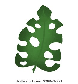 Hoja de Monstera aislada en fondo blanco ,Símbolo de verano ,ilustración de dibujo a mano , Vector EPS 10