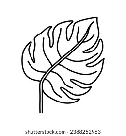 Hoja de Monstera aislada en un fondo blanco. Ilustración de vectores dibujada a mano en estilo doodle. Perfecto para el logotipo, las tarjetas, la decoración y los distintos diseños. Pieza botánica.