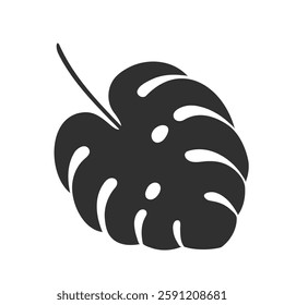 Monstera leaf isolated on white background. Black monstera leaf silhouette. Tropical tree. Vector illustration