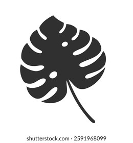 Monstera leaf isolated on white background. Black monstera leaf silhouette. Tropical tree. Vector illustration
