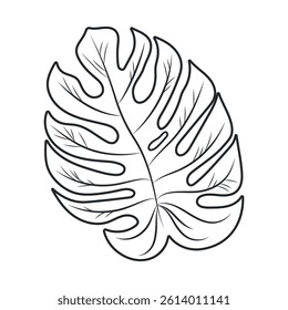 Monstera Leaf Isolated Vector Illustration. Outline modern style. Elegant and simple black botanical sketch for summer projects and designs