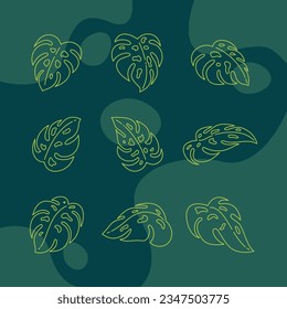 Conjunto de vectores de colección de hojas de monstera o hojas