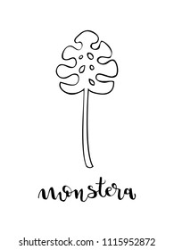 Monstera leaf and lettering. Vector illustration, hand drawn style