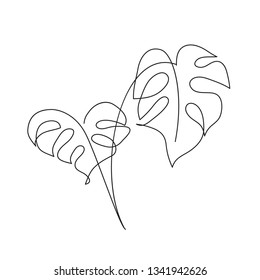 Image Result For Houseplant Orchid Image Result For Houseplant Orchid