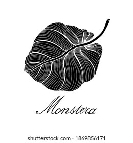 Monstera leaf line art. Contour drawing. Minimalism art. Modern decor. vector illustration