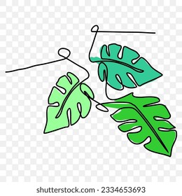 Monstera leaf line art contour drawing