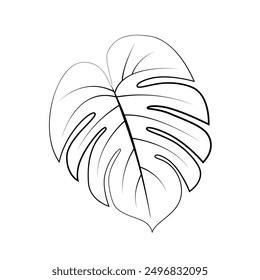 Dibujo de la línea de la hoja de Monstera. hojas tropicales. dibujo de la línea de la planta. moda, interior, envoltura, embalaje
