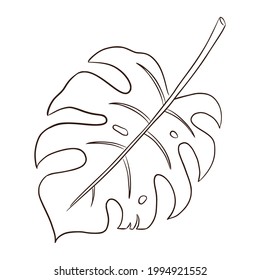Monstera Leaf Line Art. Follaje tropical dibujado a mano ilustraciones vectoriales aisladas para logotipo, emblema, cosméticos, spa, productos de belleza, plantilla, web, pegatinas e impresiones