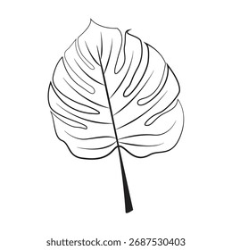 Monstera arte de línea de hoja. dibujado a mano hojas tropicales de Vector. hermosas plantas exóticas dibujadas a mano boceto de línea de hoja. hojas de palma tropical