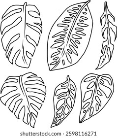 monstera leaf line art icon sheet