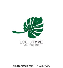 Monstera Leaf Logo Design, Monstera Leaves