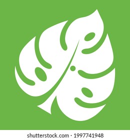 Monstera leaf for logo or icon