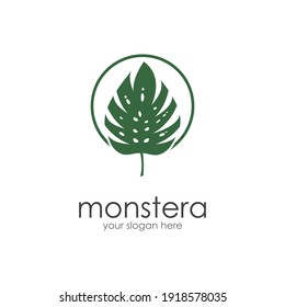 Monstera leaf logo vector design