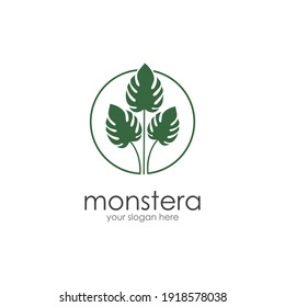 Monstera leaf logo vector design