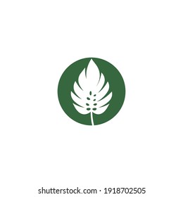 Monstera leaf logo vector design