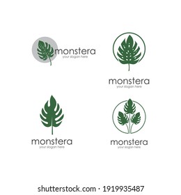 Monstera leaf logo vector design