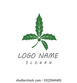 Monstera leaf logo vector design