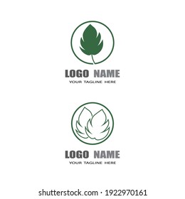Monstera leaf logo vector design