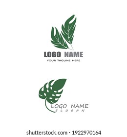 Monstera leaf logo vector design