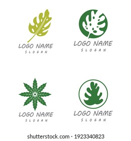 Monstera leaf logo vector design