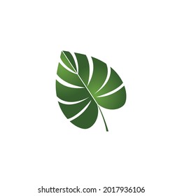Monstera leaf logo vector design