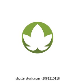 Monstera leaf logo vector design