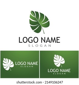 Monstera Leaf Logo Vector Design