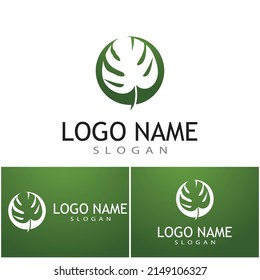 Monstera leaf logo vector design