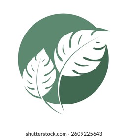 Monstera leaf logo vector design template