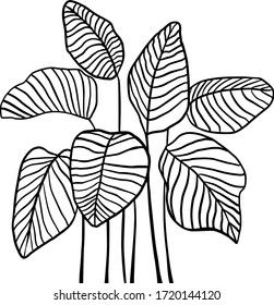 Monstera leaf modern single line art, aesthetic contour. Perfect for home decor such as posters, wall art, tote bag, t-shirt print, sticker, mobile case coloring. Doodle. Isolated. Vector.  