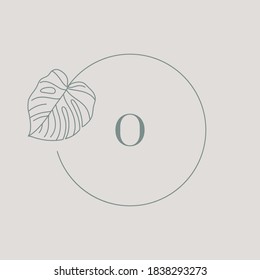Monstera leaf Monogram design in simple minimal linear style. Vector Exotic Floral Circle Wreath with Tropical leaves for Beauty, SPA salon, Creative Studio