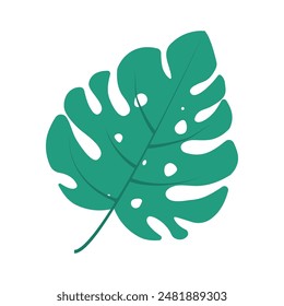 Monstera leaf on isolated background.Tropical foliage in flat style.Element for summer design. Vector.